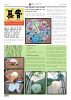 Ausgabe 09_GZ Nikolsdorf 100er-page12.jpg